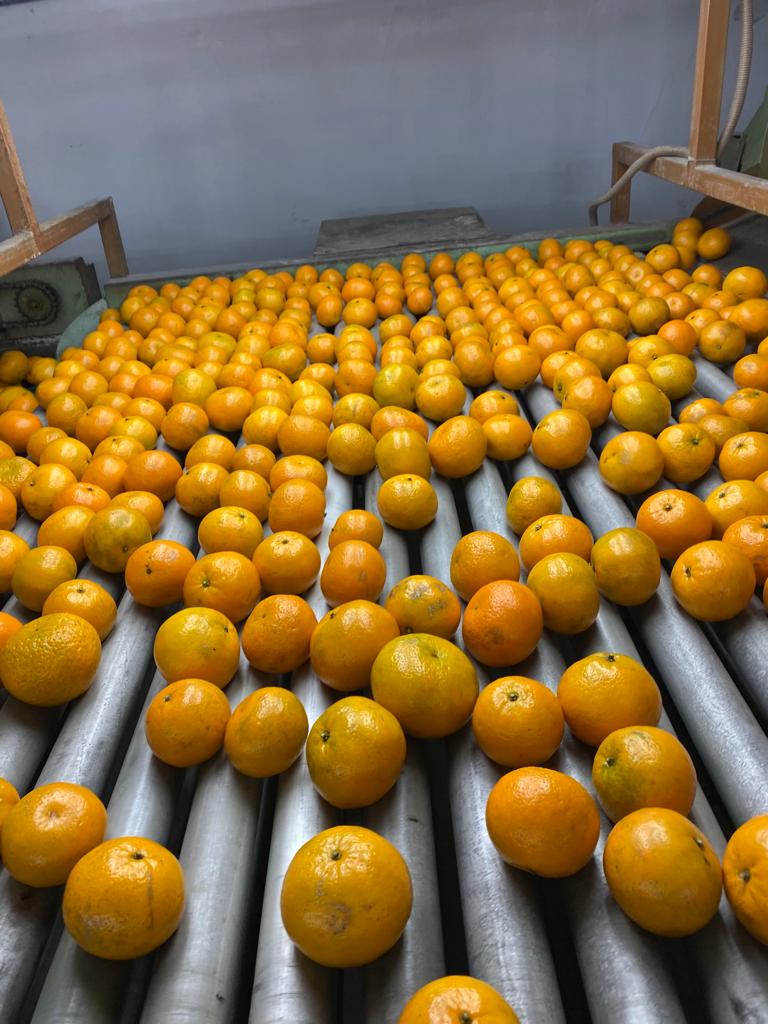 WhatsApp Image 2022-05-15 at 11.58.03 PM (1)