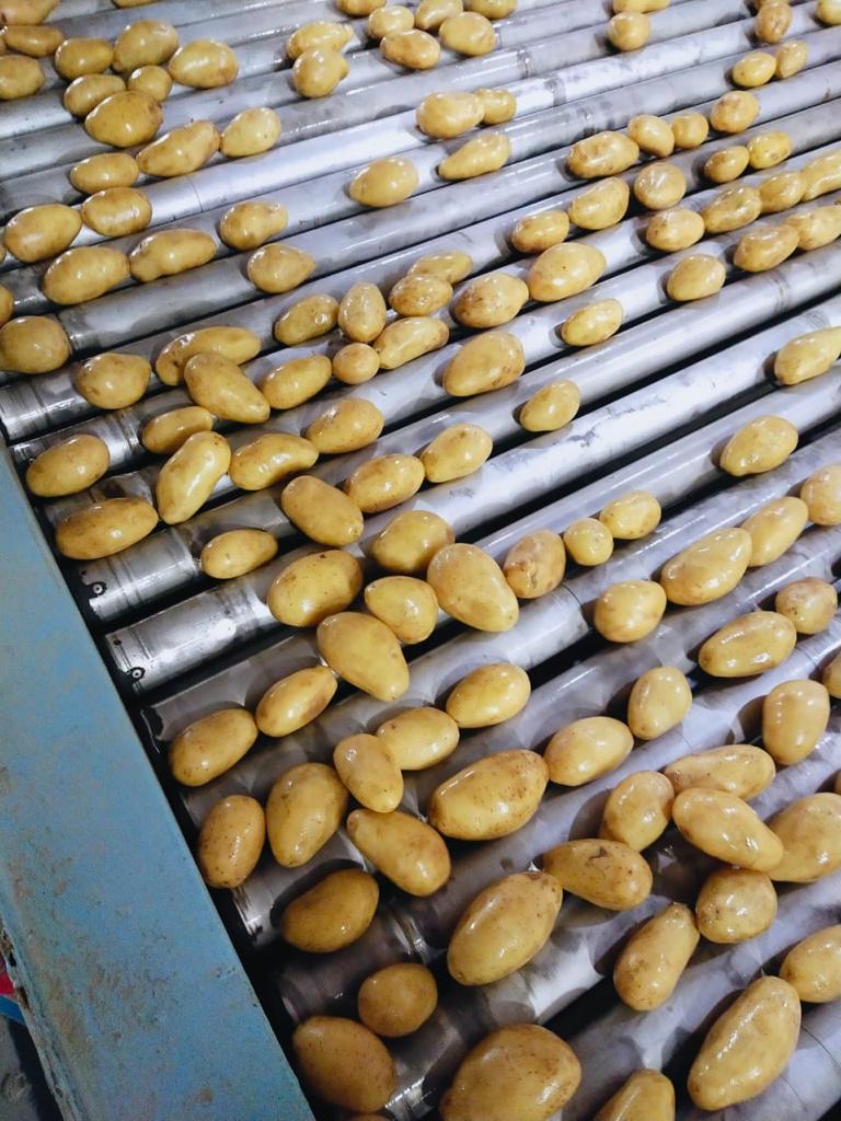 WhatsApp Image 2022-05-16 at 12.14.23 AM