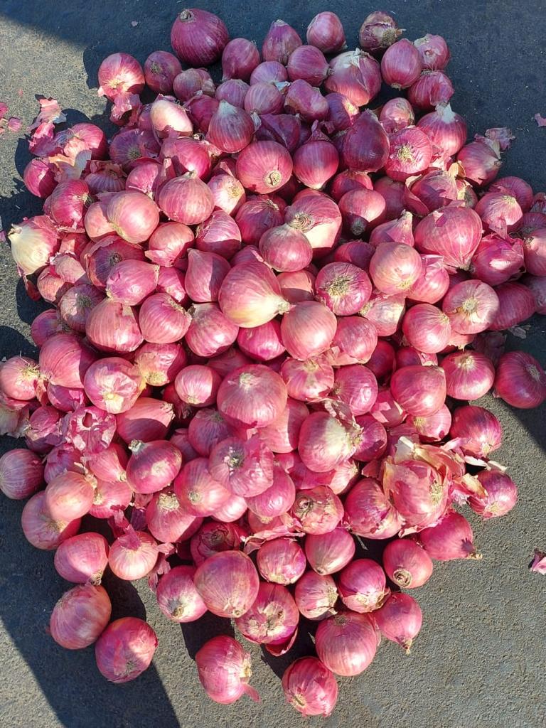 onion