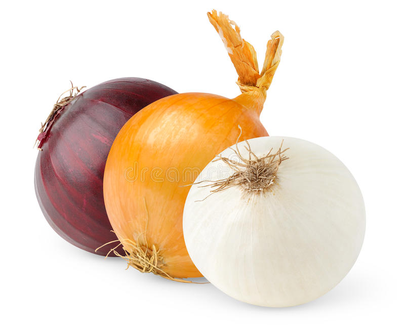 onion-16715162
