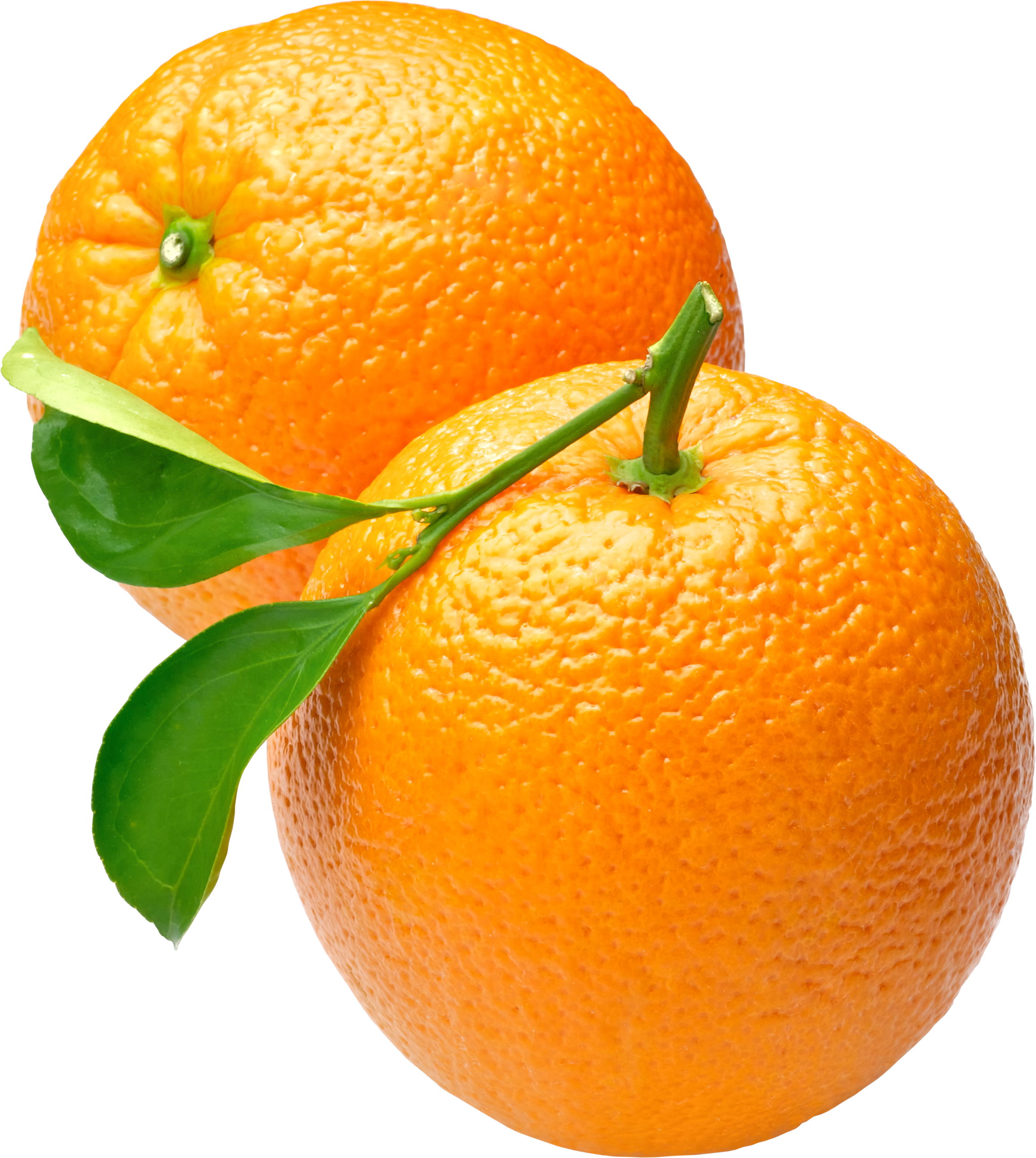 orange_PNG780