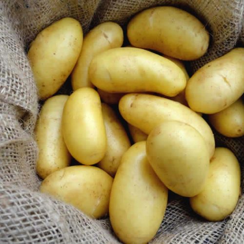 fresh-potato-1564731508-5028101